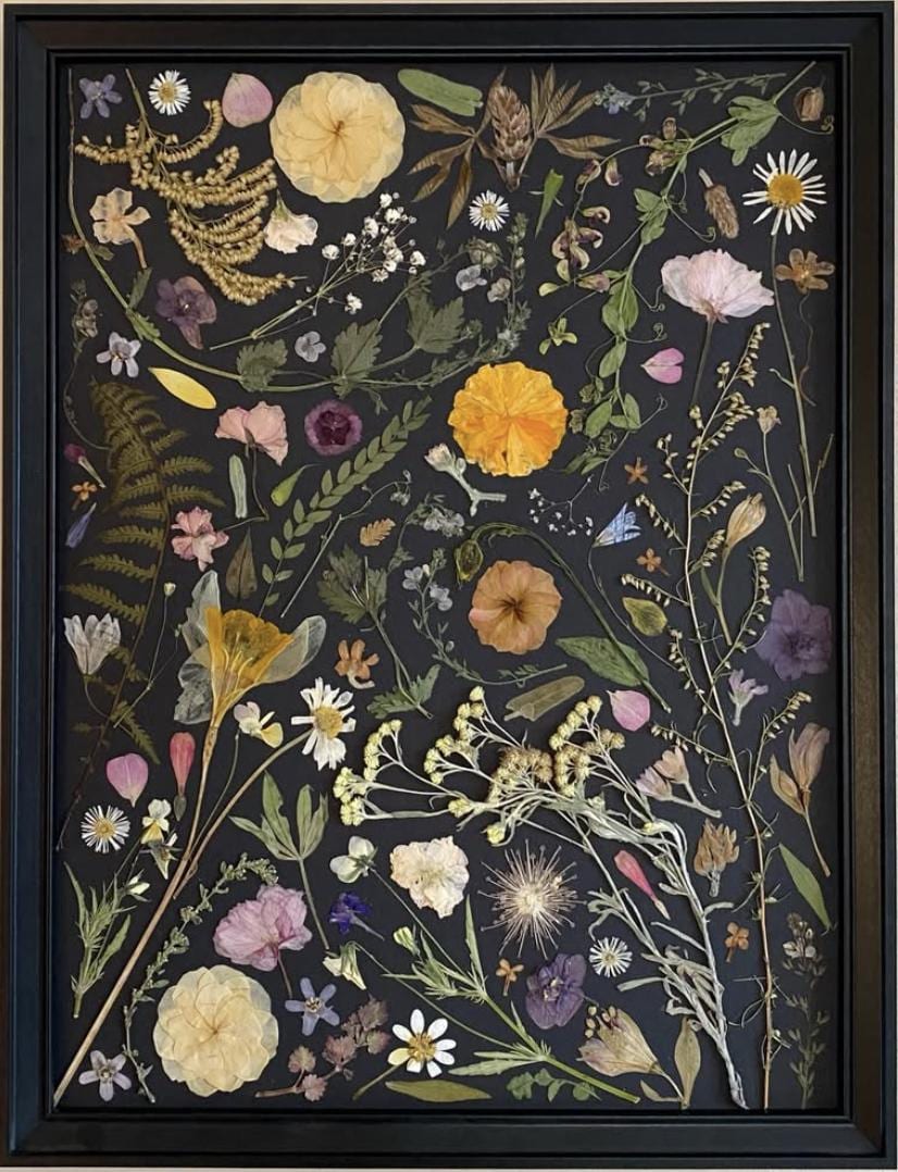 Picture from dried flowers by Traven